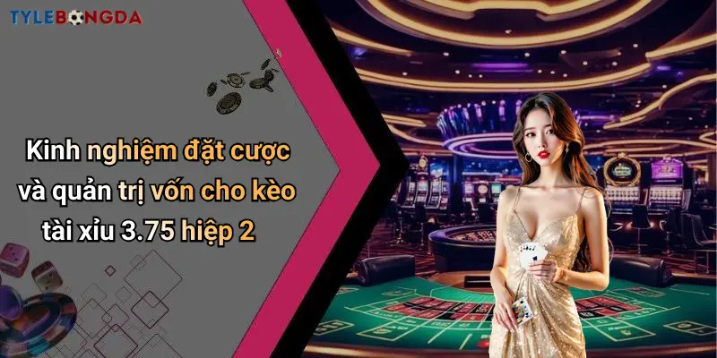 Kinh nghiệm đặt cược và quản trị vốn cho kèo tài xỉu 3.75 hiệp 2