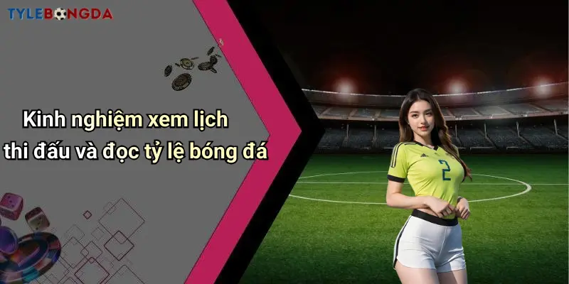 Kinh nghiệm xem lịch thi đấu và đọc tỷ lệ bóng đá