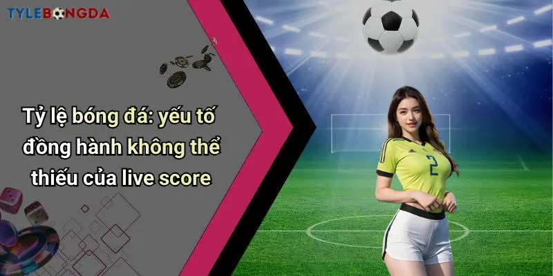 Tỷ lệ bóng đá: yếu tố đồng hành không thể thiếu của live score