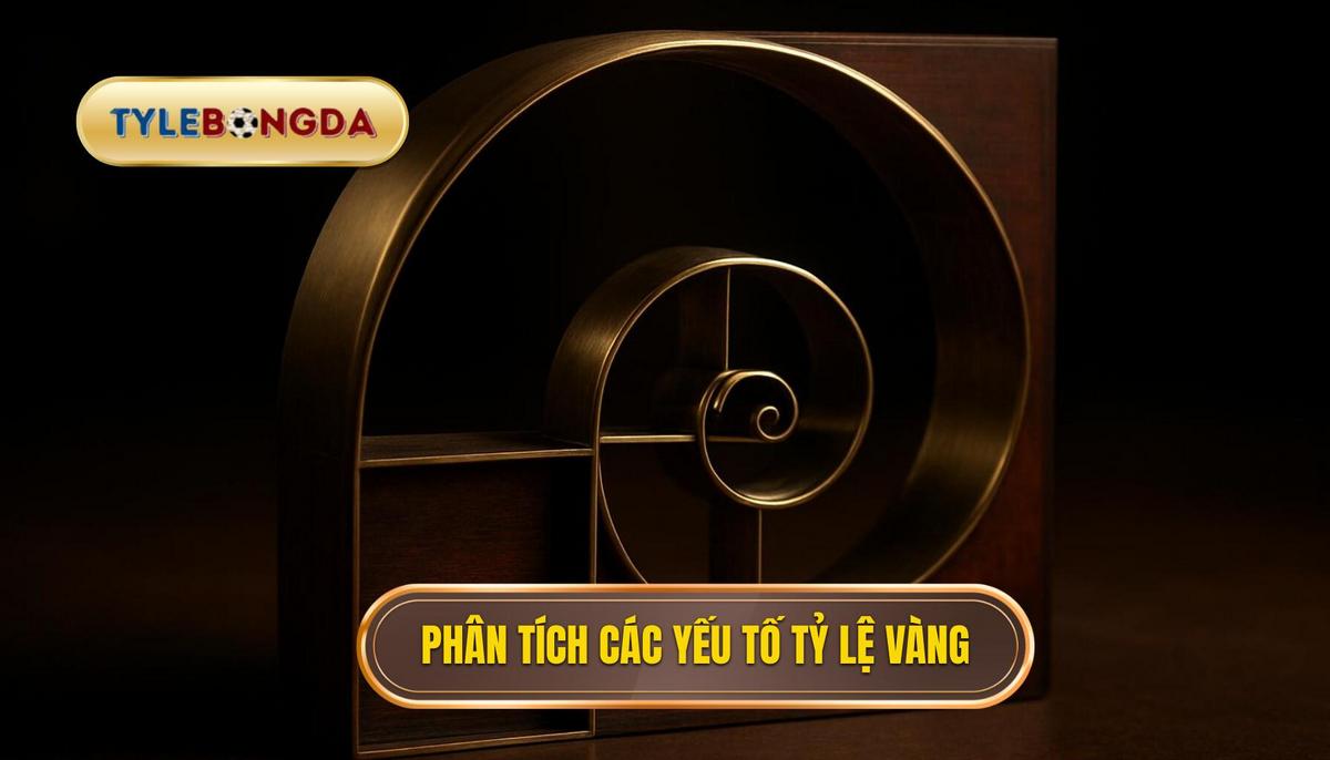 Phân tích đa chiều các yếu tố tạo nên Tỷ lệ vàng