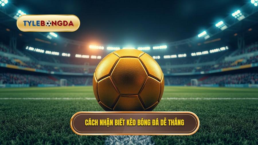 1. Cách nhận biết kèo bóng đá dễ thắng