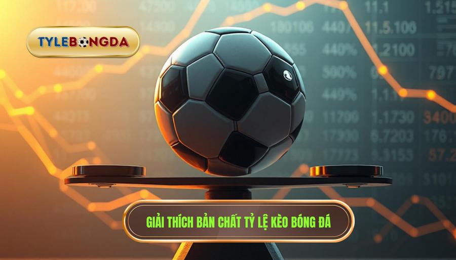 Giải thích bản chất tỷ lệ kèo bóng đá